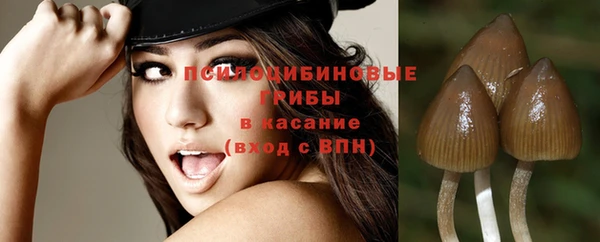 мескалин Осинники